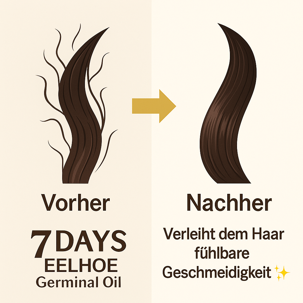 Ingwer Elixier Pro 40ml