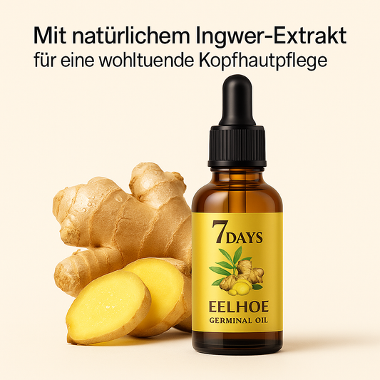 Ingwer Elixier Pro 40ml